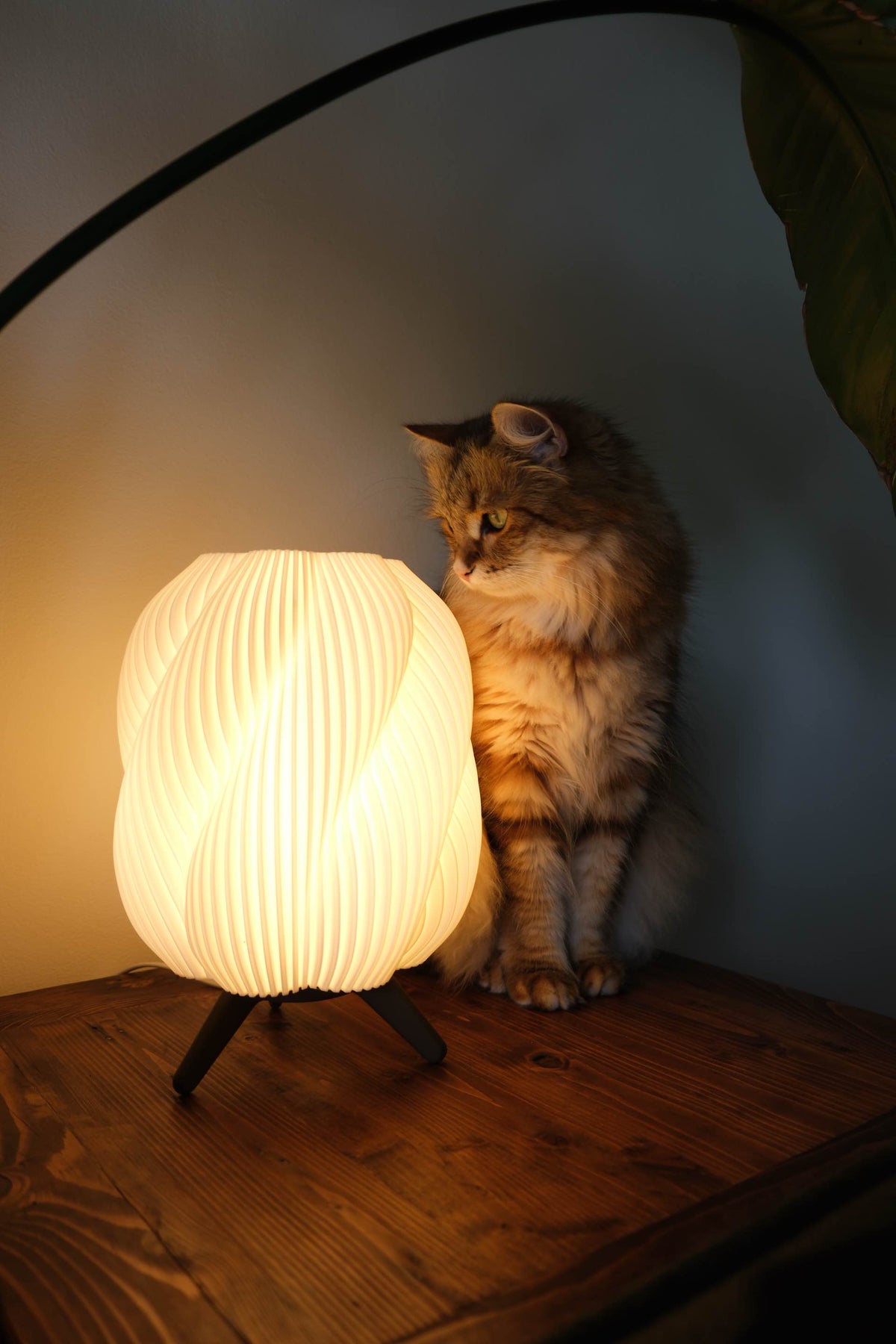lamp with soft light